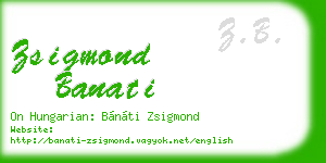 zsigmond banati business card